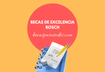 Becas para grado, Bosch Mexellence Becas para grado, Bosch Mexellence