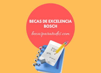 Becas para grado, Bosch Mexellence Becas para grado, Bosch Mexellence