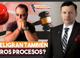 Se duplicaron las detenciones en el Sur de EEUU Se duplicaron las detenciones en el Sur de EEUU