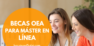 Becas de la OEA, posgrado en línea Becas de la OEA, posgrado en línea