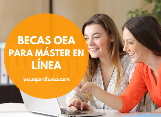 Becas de la OEA, posgrado en línea Becas de la OEA, posgrado en línea