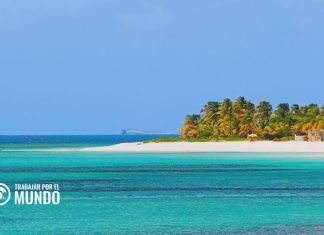 El auge inesperado de la IA lleva riqueza a esta isla caribeña El auge inesperado de la IA lleva riqueza a esta isla caribeña