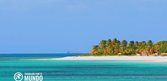 El auge inesperado de la IA lleva riqueza a esta isla caribeña El auge inesperado de la IA lleva riqueza a esta isla caribeña