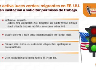 Uso de artista: automotriz en casos de amparo. Uso de artista: automotriz en casos de amparo.