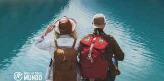 Qué es el disposición híbrido Qué es el disposición híbrido