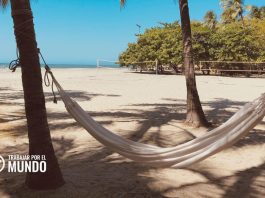 Hotel o Airbnb: ¿cuál es la mejor alternativa para los nómadas digitales? Hotel o Airbnb: ¿cuál es la mejor alternativa para los nómadas digitales?