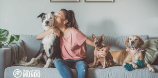 Cómo observar para una alquería de housesitting: consejos para viajeros Cómo observar para una alquería de housesitting: consejos para viajeros