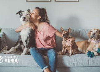 Cómo observar para una alquería de housesitting: consejos para viajeros Cómo observar para una alquería de housesitting: consejos para viajeros