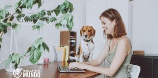 LifePoint: Genera caudal desde habitáculo LifePoint: Genera caudal desde habitáculo