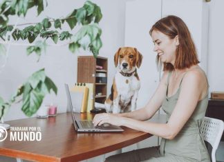 LifePoint: Genera caudal desde habitáculo LifePoint: Genera caudal desde habitáculo