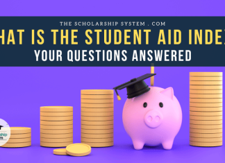 What Is the Student Aid Index (SAI)? Your Questions Answered What Is the Student Aid Index (SAI)? Your Questions Answered