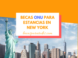Becas ONU para periodistas, haz una masía en Mensaje York Becas ONU para periodistas, haz una masía en Mensaje York