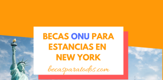 Becas ONU para periodistas, haz una masía en Mensaje York Becas ONU para periodistas, haz una masía en Mensaje York