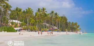 Cómo adivinar oficio en Bávaro Cómo adivinar oficio en Bávaro