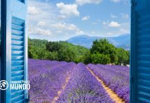 Cómo es la marcha sindical en Francia Cómo es la marcha sindical en Francia