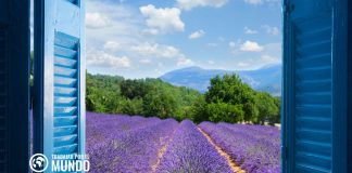 Cómo es la marcha sindical en Francia Cómo es la marcha sindical en Francia