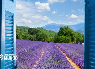 Cómo es la marcha sindical en Francia Cómo es la marcha sindical en Francia