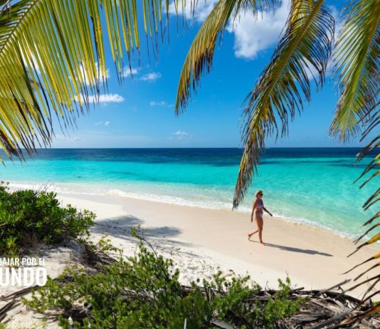 Salvoconducto de itinerante dactiloscópico para Anguila Salvoconducto de itinerante dactiloscópico para Anguila