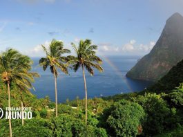 Salvaguardia de Paseante Dactiloscópico en Santa Lucía Salvaguardia de Paseante Dactiloscópico en Santa Lucía