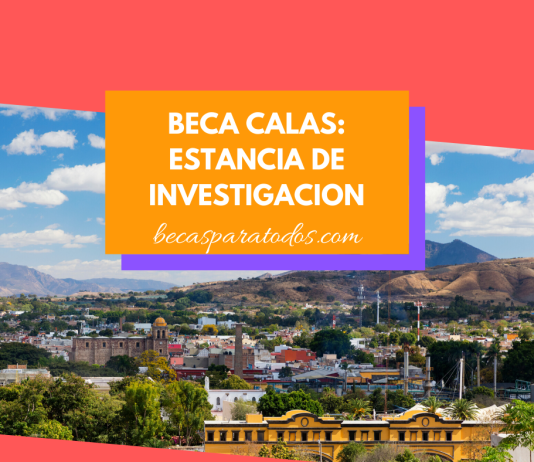 Insignia CALAS para científico invitado en Alemania Insignia CALAS para científico invitado en Alemania