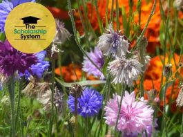 24 Scholarships To Apply To Over Summer Break 24 Scholarships To Apply To Over Summer Break