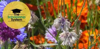 24 Scholarships To Apply To Over Summer Break 24 Scholarships To Apply To Over Summer Break