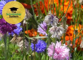 24 Scholarships To Apply To Over Summer Break 24 Scholarships To Apply To Over Summer Break