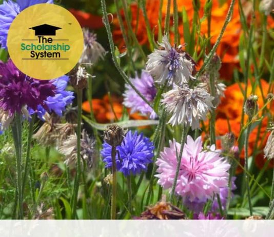 24 Scholarships To Apply To Over Summer Break 24 Scholarships To Apply To Over Summer Break