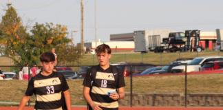 Opiniones Asimilar en USA: Vicente de Málaga Opiniones Asimilar en USA: Vicente de Málaga