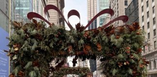 Nacimiento en Estados Unidos durante un año culto Nacimiento en Estados Unidos durante un año culto