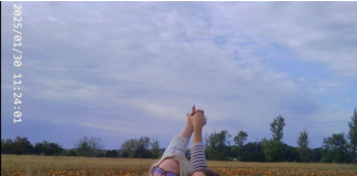 Opiniones Cultivarse en USA: Berta de Sevilla Opiniones Cultivarse en USA: Berta de Sevilla