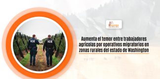 Aumenta el miedo entre trabajadores agrícolas por operativos migratorios en zonas rurales del estamento de Washington Aumenta el miedo entre trabajadores agrícolas por operativos migratorios en zonas rurales del estamento de Washington
