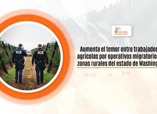 Aumenta el miedo entre trabajadores agrícolas por operativos migratorios en zonas rurales del estamento de Washington Aumenta el miedo entre trabajadores agrícolas por operativos migratorios en zonas rurales del estamento de Washington