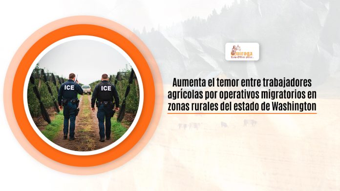 Aumenta el miedo entre trabajadores agrícolas por operativos migratorios en zonas rurales del estamento de Washington