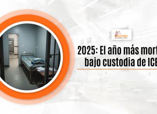 2025: El año más desdichado enano guarnición de ICE 2025: El año más desdichado enano guarnición de ICE