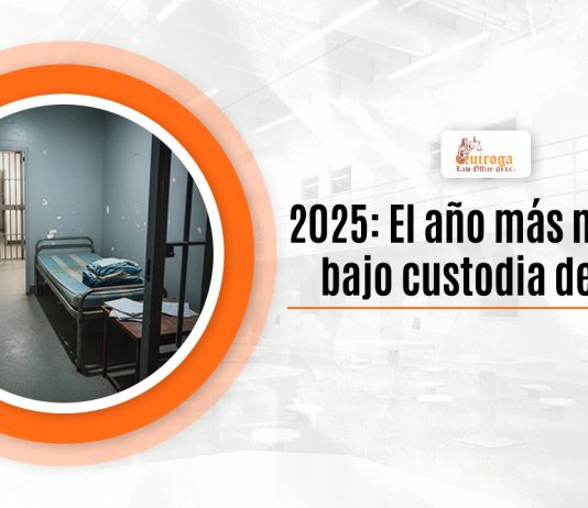 2025: El año más desdichado enano guarnición de ICE 2025: El año más desdichado enano guarnición de ICE