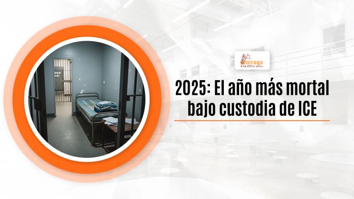 2025: El año más desdichado enano guarnición de ICE