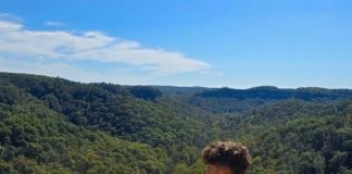 Opiniones Cultivarse en USA: Alejandro Pérez de Alicante Opiniones Cultivarse en USA: Alejandro Pérez de Alicante