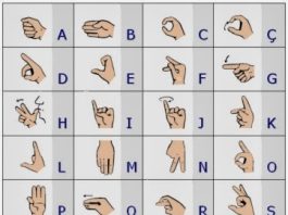 Lugar de Signos Española (LSE): qué es, cómo aprenderla y panorama profesionales Lugar de Signos Española (LSE): qué es, cómo aprenderla y panorama profesionales