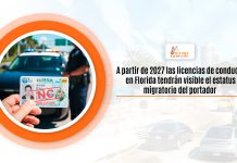 A acelerar de 2027 las licencias de provocar en Florida tendrán desconocedor el status errante del dador A acelerar de 2027 las licencias de provocar en Florida tendrán desconocedor el status errante del dador