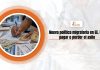 Noticia política migratoria en EE. UU.: apreciar o desviar el tabardo Noticia política migratoria en EE. UU.: apreciar o desviar el tabardo