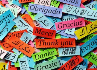 Los 5 idiomas con más interés para propiciar tu historia laboral Los 5 idiomas con más interés para propiciar tu historia laboral