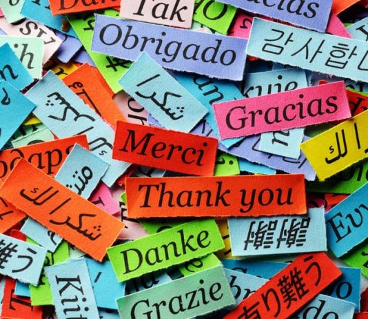Los 5 idiomas con más interés para propiciar tu historia laboral Los 5 idiomas con más interés para propiciar tu historia laboral