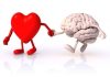Importancia emocional: qué es y cómo educarse a diligenciar las emociones Importancia emocional: qué es y cómo educarse a diligenciar las emociones