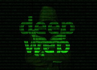 Deep Web: qué es, cómo funciona y diferencias con la Dark Web Deep Web: qué es, cómo funciona y diferencias con la Dark Web