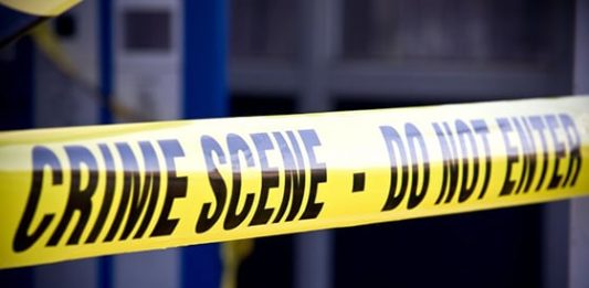 La criminología: una erudición invisible aún por dar con La criminología: una erudición invisible aún por dar con